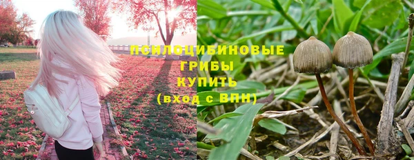 Альфа ПВП Кукмор