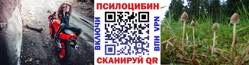 Псилоцибиновые грибы GOLDEN TEACHER  Купить где  Пролетарск 